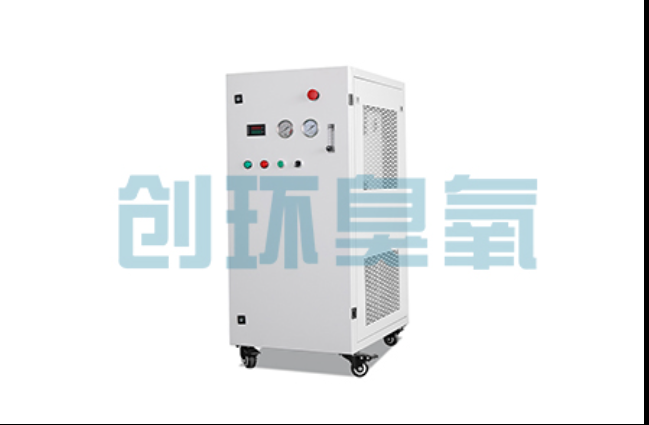 大名工厂化养鲈必看：2026年臭氧发生器替代传统消毒的最新方案