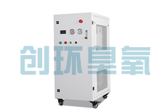 大名石斑鱼养殖水质调控完整指南：臭氧发生器配置与操作步骤