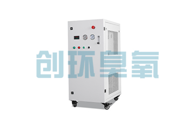 大名比传统换水更高效？臭氧发生器在石斑鱼养殖中的水质净化原理解析